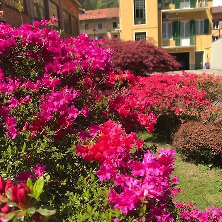 Bed & Breakfast Cà Del Cerin